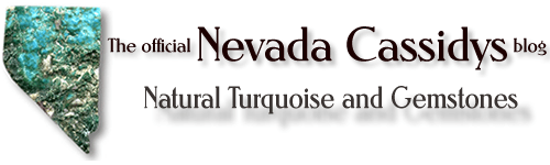 The official Nevada Cassidys blog