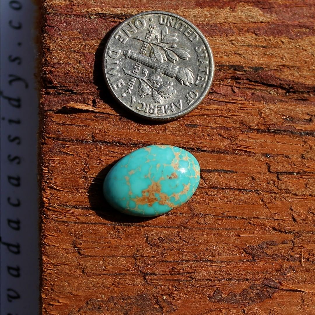 Blue oval turquoise cabochon (Natural Stone Mountain Turquoise)
Contact us  $15.66 for 5.2 carats unbacked & untreated
