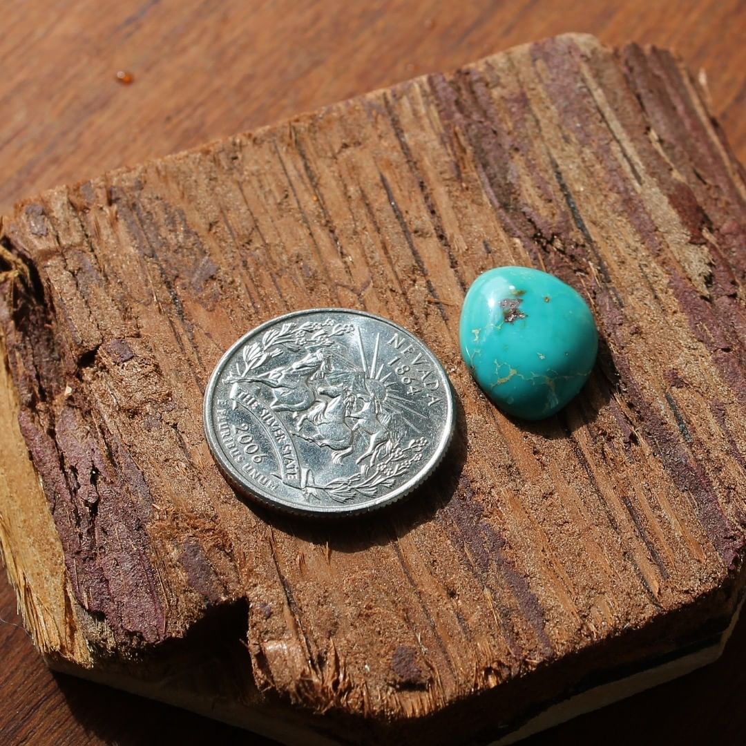 Blue Stone Mountain Turquoise cabochon with a high dome
Contact us  $26.77 for 7.5 carats un-backed & untreated Nevada turquoise
#februarysale