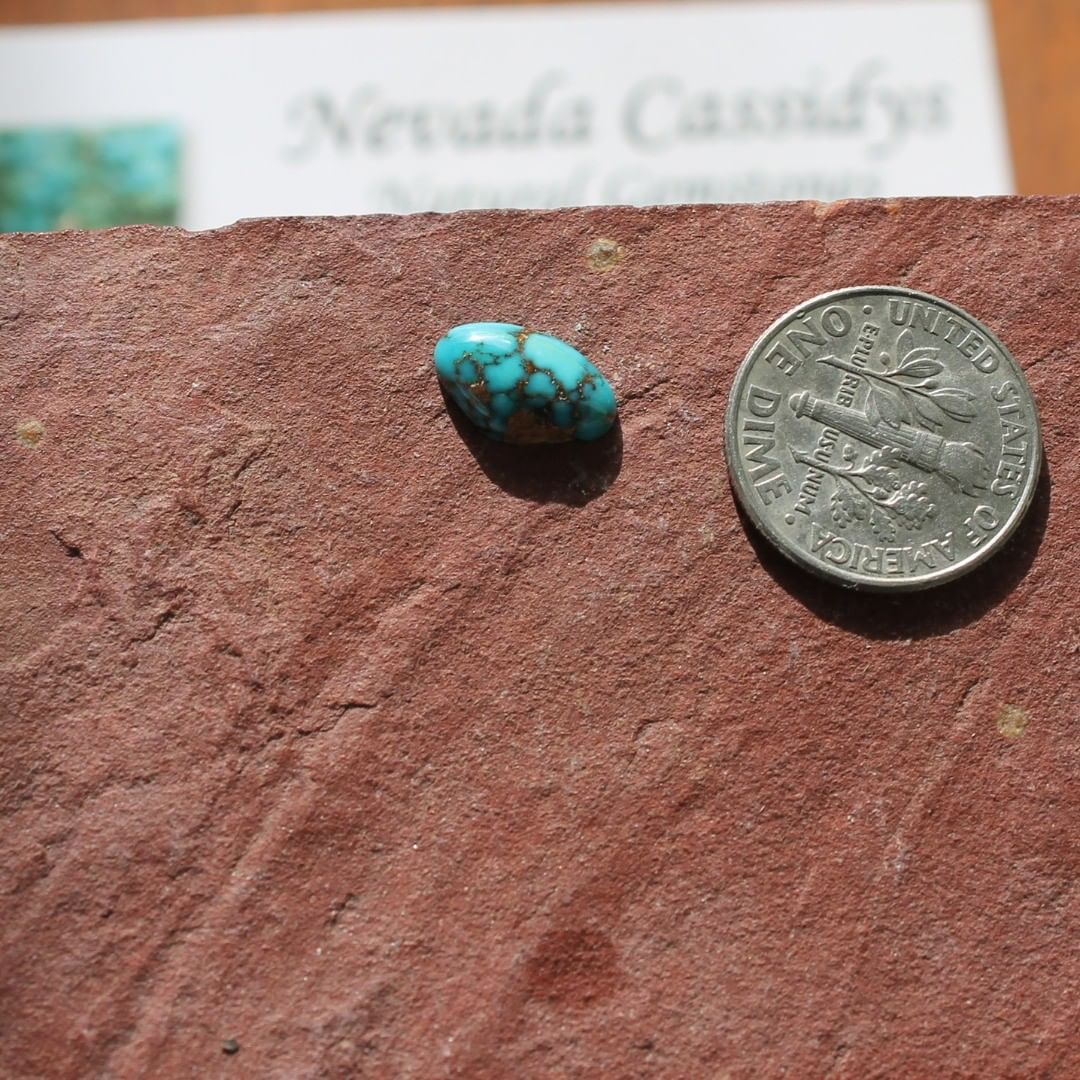 Blue Turquoise Cabochon with Red Spiderweb Inclusions (Stone Mountain Turquoise)
Contact us  $9.00 for 1.5 carats un-backed & untreated Nevada turquoise

