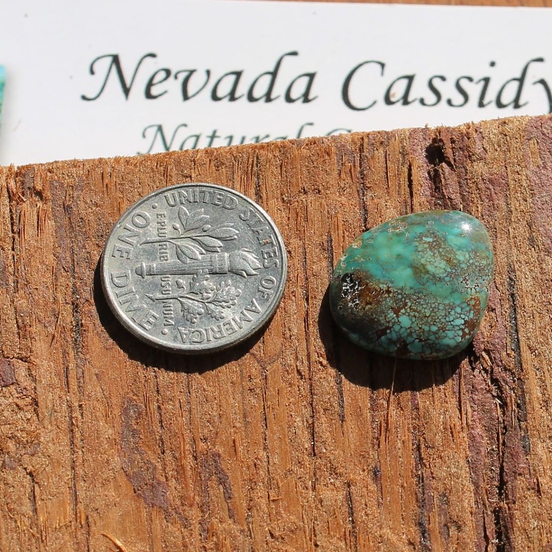 Blue turquoise spiderweb cabochon from Crescent Valley in Nevada 
Contact us  $23.00 for 6.7 carats un-backed & untreated
