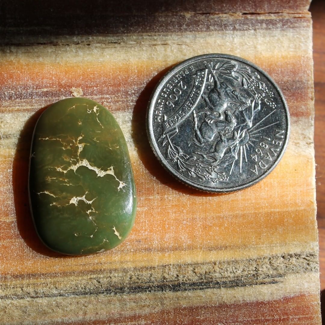 Green Stone Mountain Turquoise Cabochon
Contact us  $31.81 for 14.7 carats untreated & un-backed Nevada turquoise.
