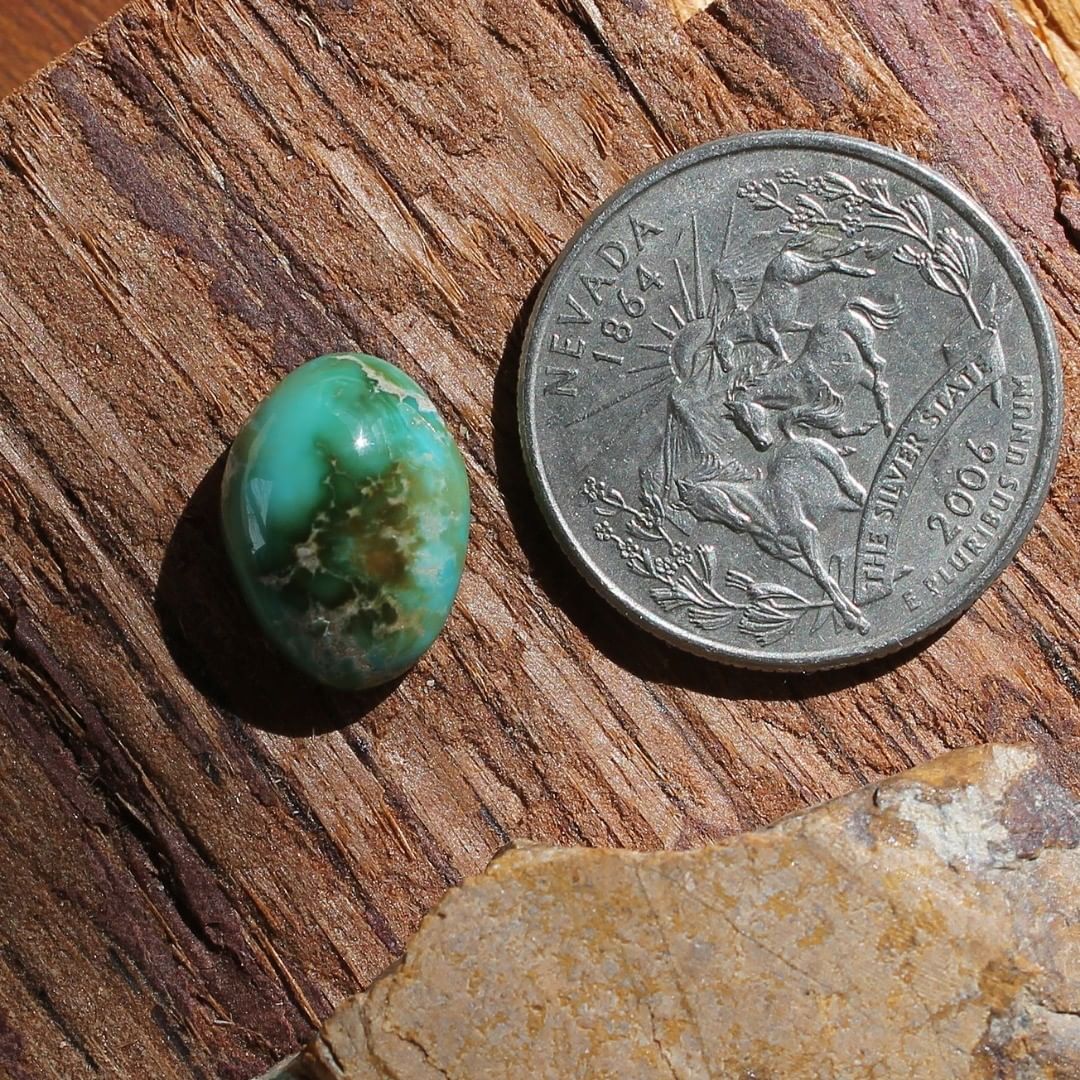 Multi color turquoise cabochon from Stone Mountain Mine
Instagram    $26.35 for 8.3 carats untreated Nevada turquoise 

