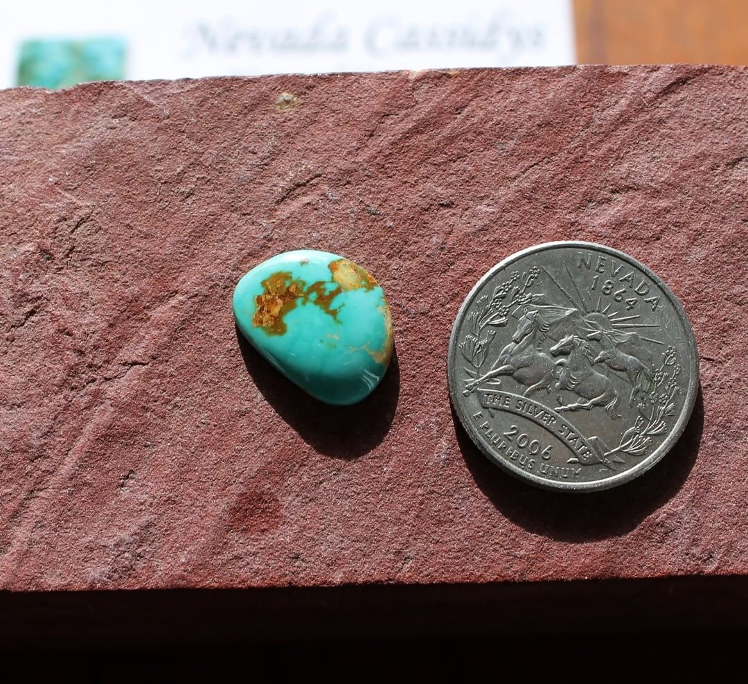 Natural Blue Turquoise Cabochon (Stone Mountain Turquoise)
Contact us  $15.34 for 5.2 carats un-backed & untreated Nevada turquoise

