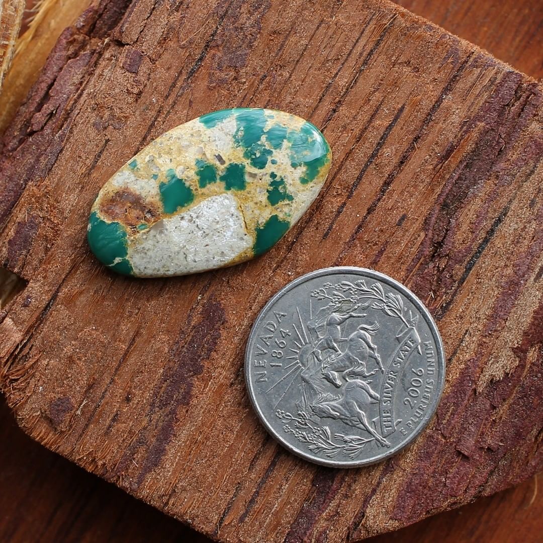 Natural green ribbon turquoise cabochon (Stone Mountain Turquoise)
Instagram    $30 for 18.6 carats untreated Nevada boulder turquoise.
