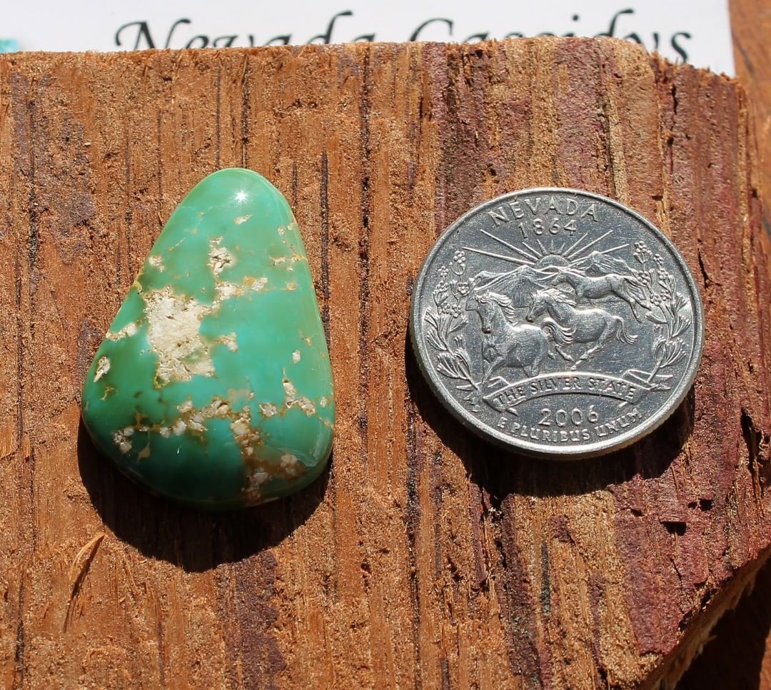 Natural Green Turquoise Cabochon
Contact us  $68.33 for 22.7 carats untreated & un-backed Stone Mountain Turquoise

#turquoisecabochon
