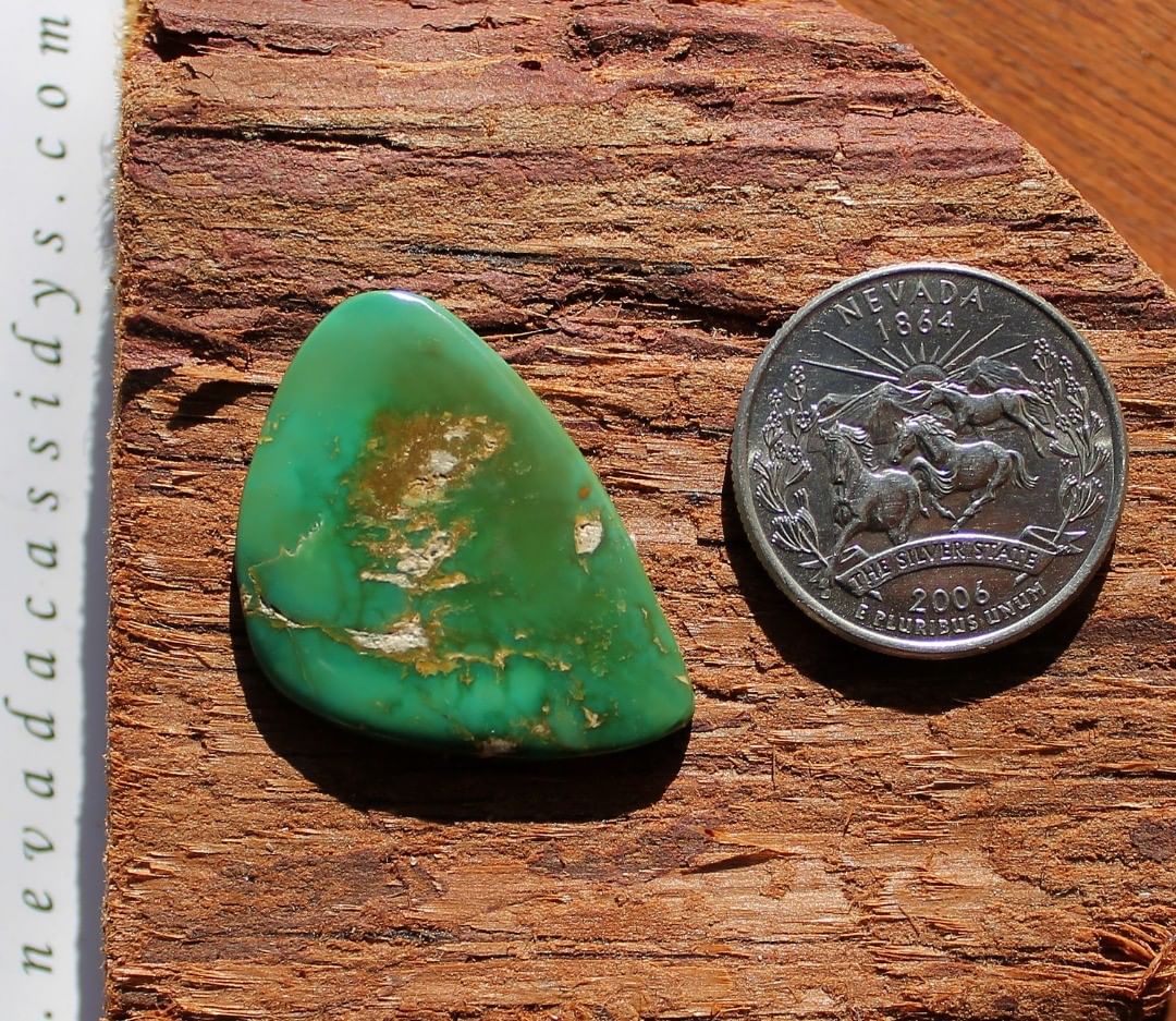 Natural Green Turquoise Cabochon (Stone Mountain Turquoise)
Contact us  $52.04 for 17.7 carats unbacked & untreated
