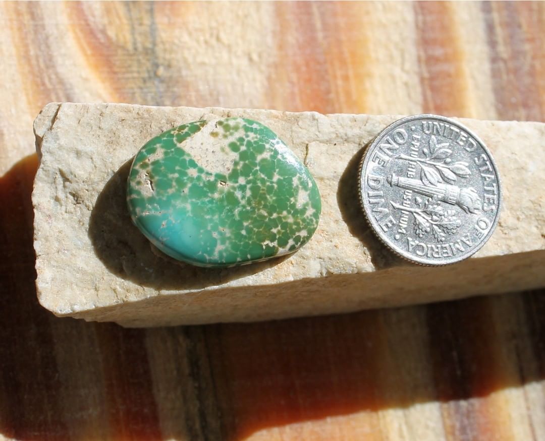 Natural green turquoise cabochon w/ spiderweb matrix (Stone Mountain Turquoise)
Instagram    $35.88 for 9.9 carats un-backed & untreated Nevada turquoise.

