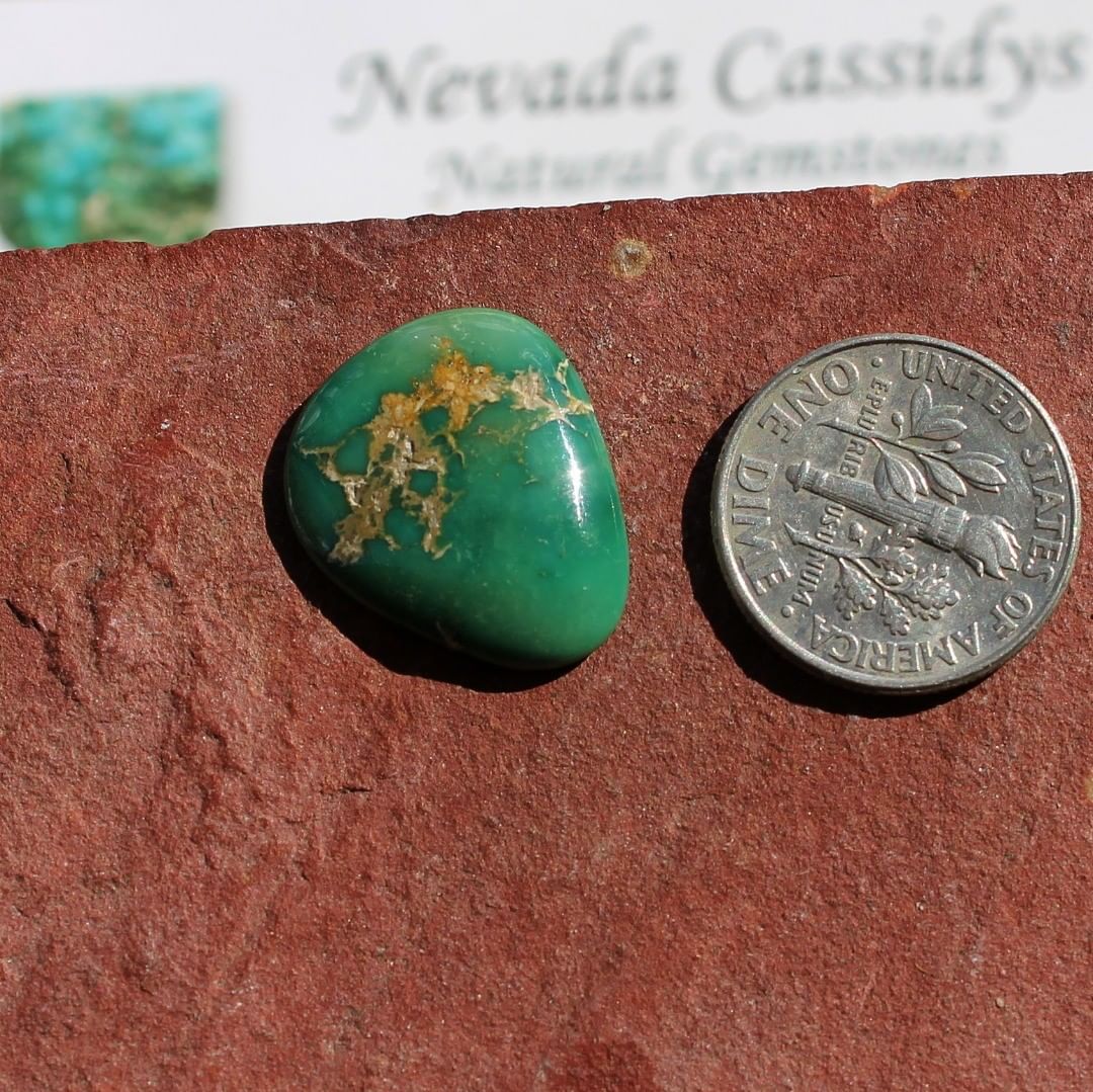 Natural Green Turquoise Cabochon with yellow-orange matrix
Contact us  $23.00 for 7.4 grams untreated & un-backed Stone Mountain Turquoise

