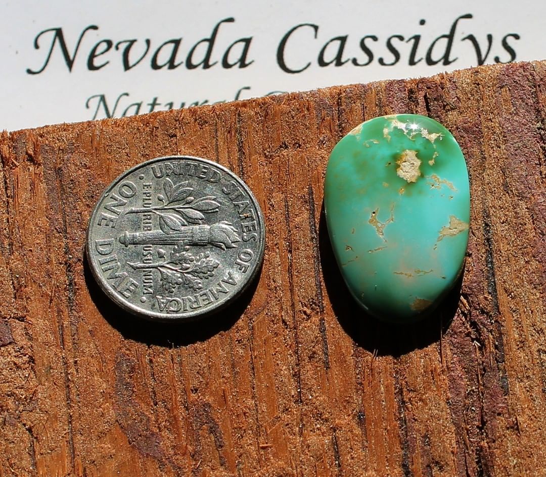 Natural multi color turquoise cabochon (Stone Mountain Turquoise)
Contact us  $31.21 for 9.1 carats untreated & un-backed Stone Mountain Turquoise
#turquoisecabochon#cabochons