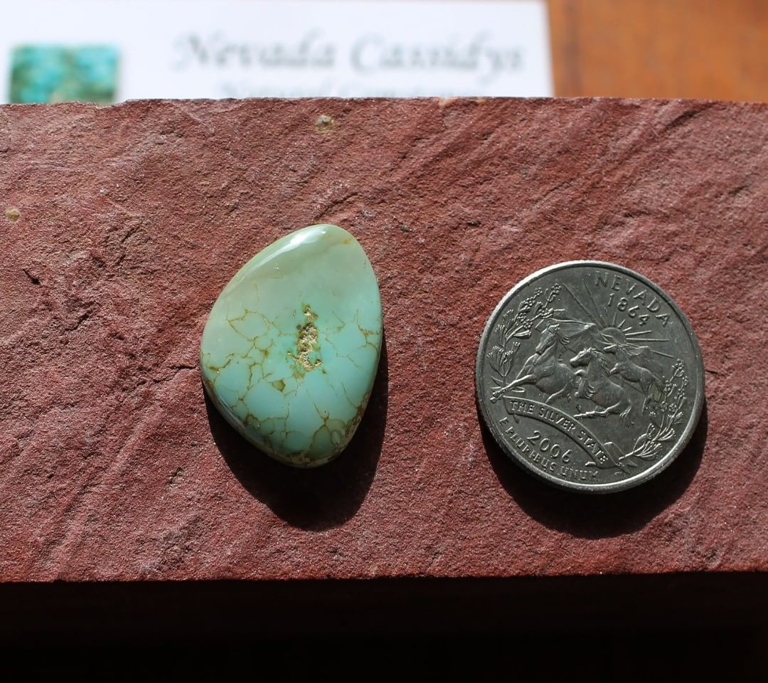 Natural turquoise cabochon from Stone Mountain Mine
Contact us  $48.8 for 15.3 carats untreated & un-backed Nevada turquoise
