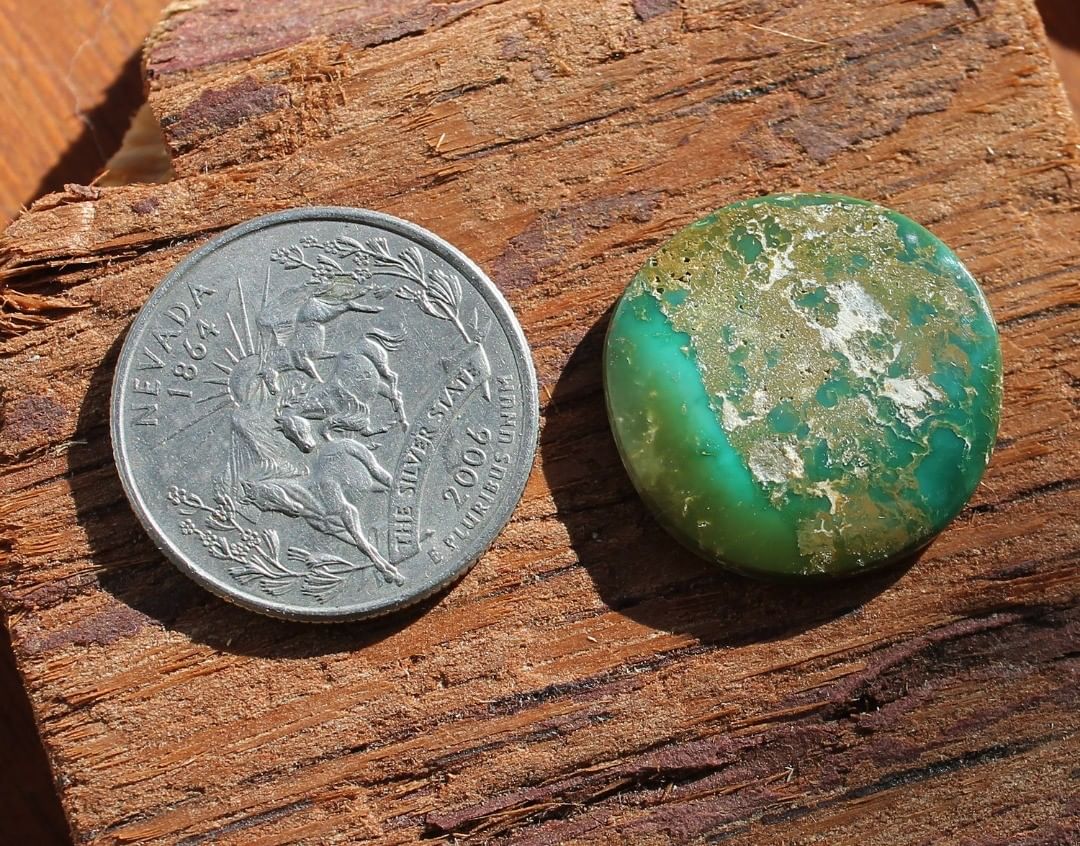 Round natural green turquoise cabochon (Stone Mountain Turquoise)
Instagram    $49.80 for 16.6 carats un-backed & untreated Nevada turquoise.
