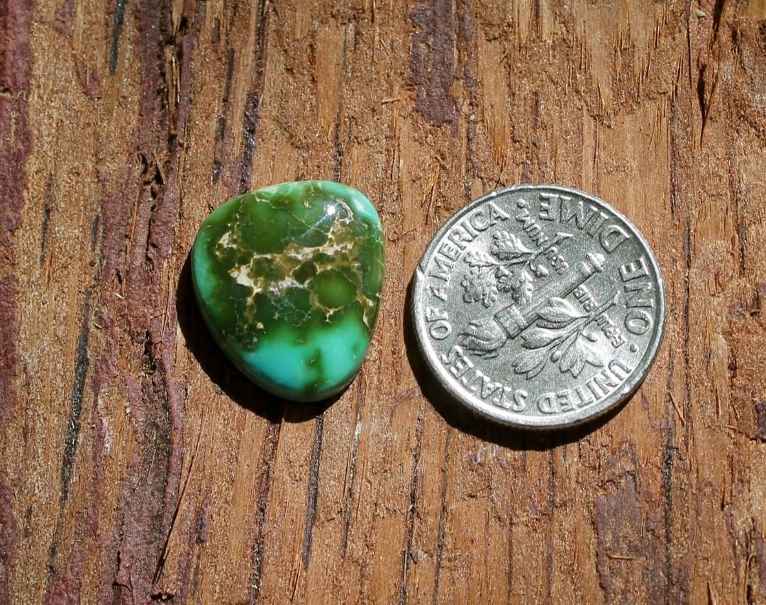 Natural dual color Stone Mountain Turquoise cabochon
 $21 for 7.2 carats untreated & un-backed Nevada turquoise. 
