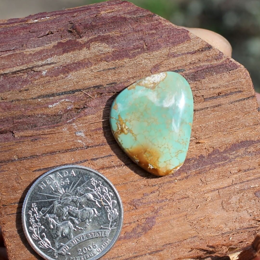 Natural Stone Mountain Turquoise cabochon w/ interesting inclusions
 $50 for 17.1 carats untreated & un-backed Nevada turquoise. 
