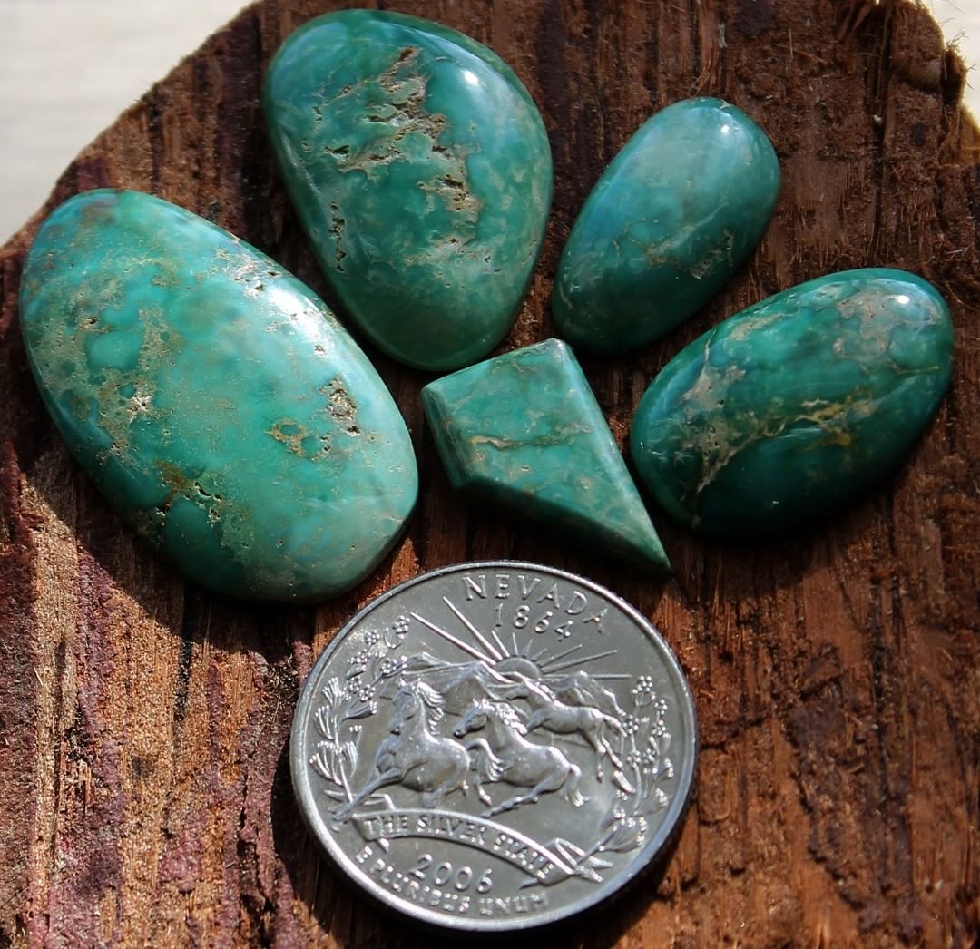 Five matched Stone Mountain Turquoise cabochons
A signature pattern found in the greens at Stone Mountain Mine exhibited in a suite of five matching turquoise cabochons.
 $135 for 16.0, 13.4, 9.6, 6.1 & 4.8 carats untreated & un-backed Nevada turquoise.
