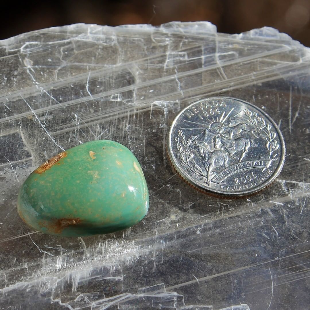 Natural green turquoise cabochon w/ high dome (Stone Mountain Turquoise)
 $75 for 29.6 carats untreated & un-backed Nevada turquoise.
26x20x7.5 mm