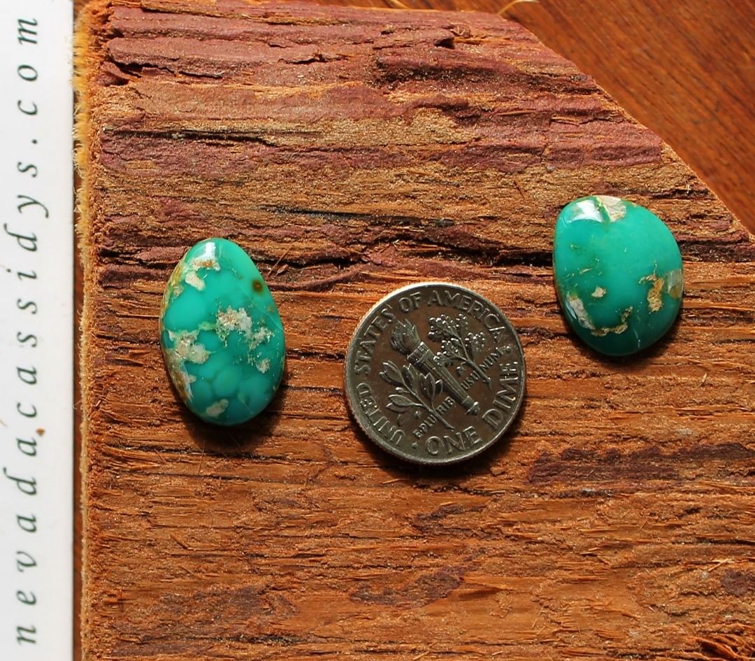 Two natural Harcross turquoise cabochons
 $36 for 6.5 & 4.8 carats untreated & un-backed Nevada turquoise.
