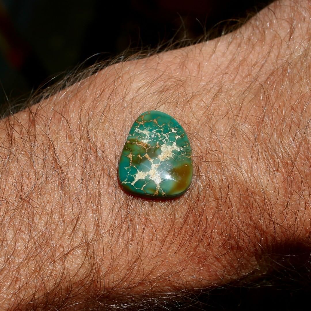 A dark green cabochon with interesting spiderweb matrix.

$30 for 10.7 carats un-backed & untreated